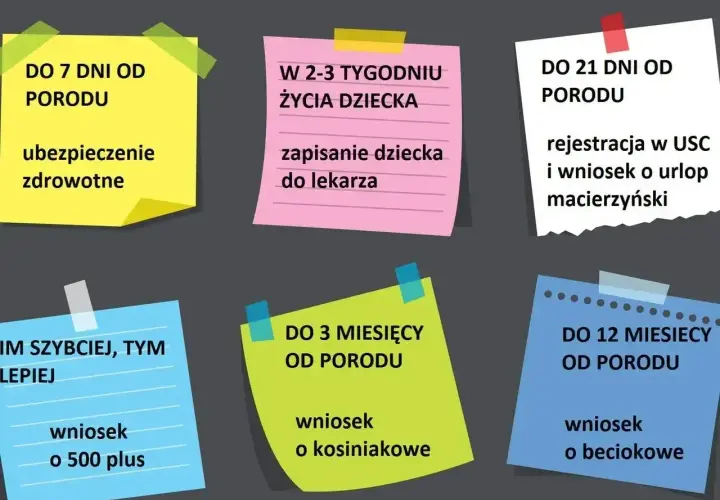 Terminy formalności po porodzie: ubezpieczenie, rejestracja dziecka, wniosek o 500 plus, kosiniakowe, beciokowe. Nie zapomnij o zaświadczeniu o zameldowaniu.