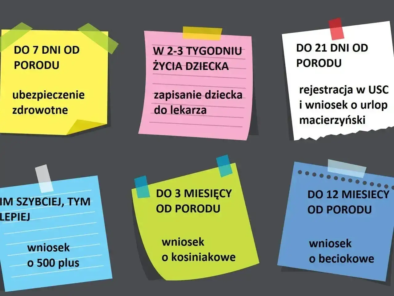 Terminy formalności po porodzie: ubezpieczenie, rejestracja dziecka, wniosek o 500 plus, kosiniakowe, beciokowe. Nie zapomnij o zaświadczeniu o zameldowaniu.