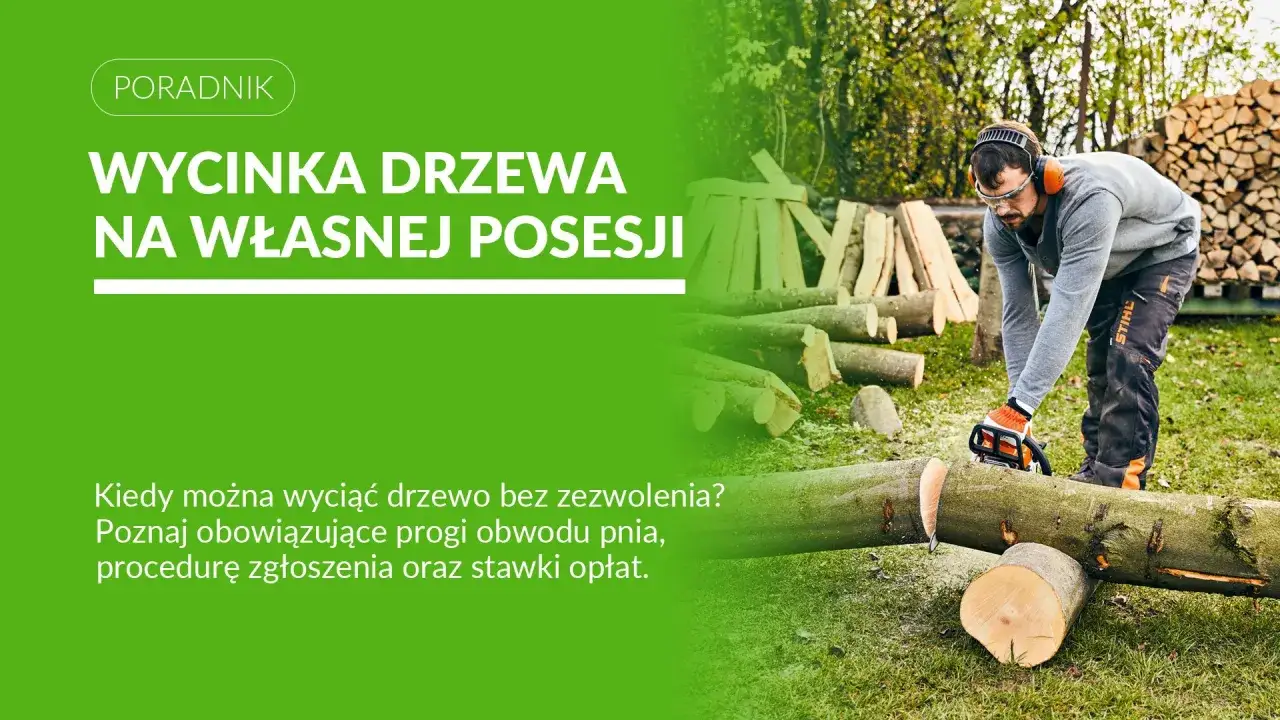 Nowe przepisy wycinki drzew na prywatnej posesji. Mężczyzna z piłą łańcuchową tnie pień drzewa.
